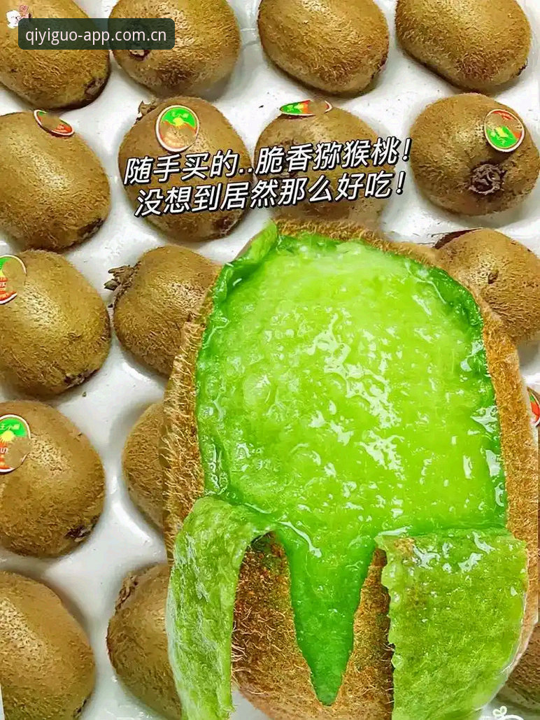 奇异果体育手机版全面评测：从安装体验到竞技功能的深度解析